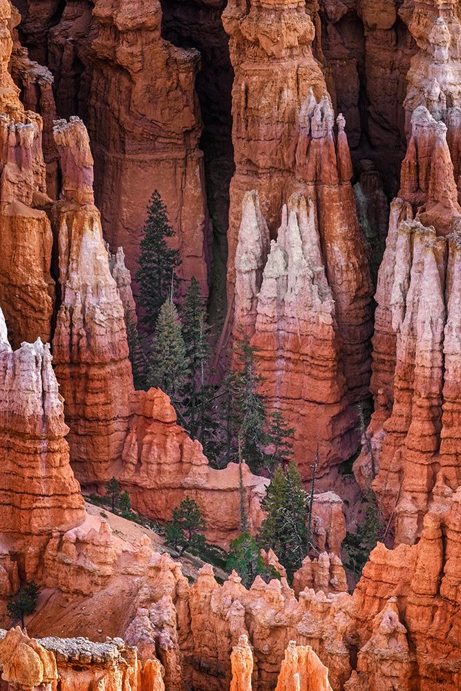 Sunrise at Bryce Canyon National Park, Utah